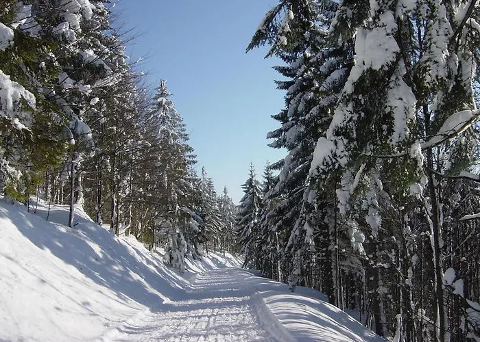 Gasthof / Fw Stern Bodenmais